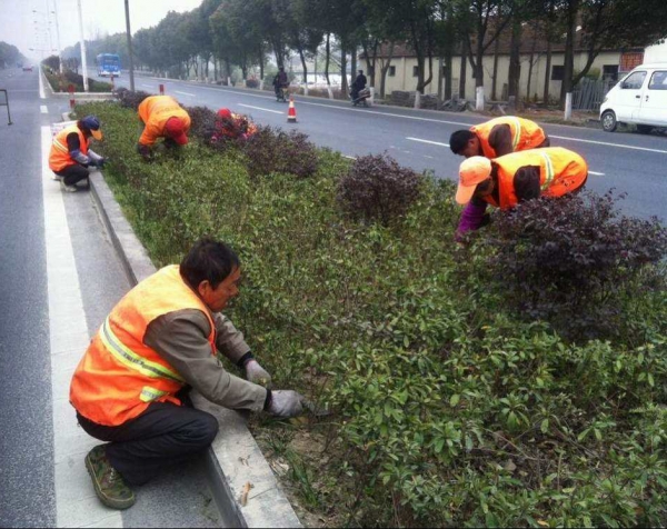 南昌綠化怎么養(yǎng)護